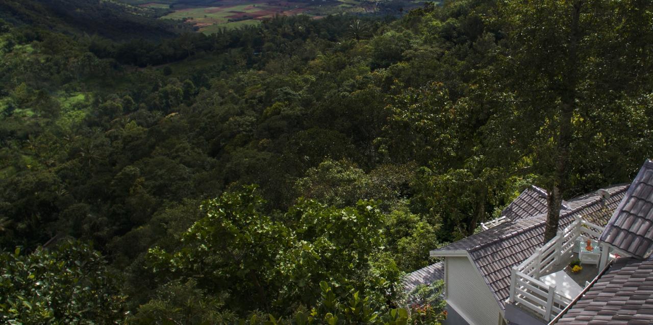 Hills & Hues Hotel Kumily Kültér fotó